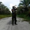 pinang_ipung