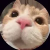 kitty_sophia999