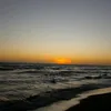 florchuu26_