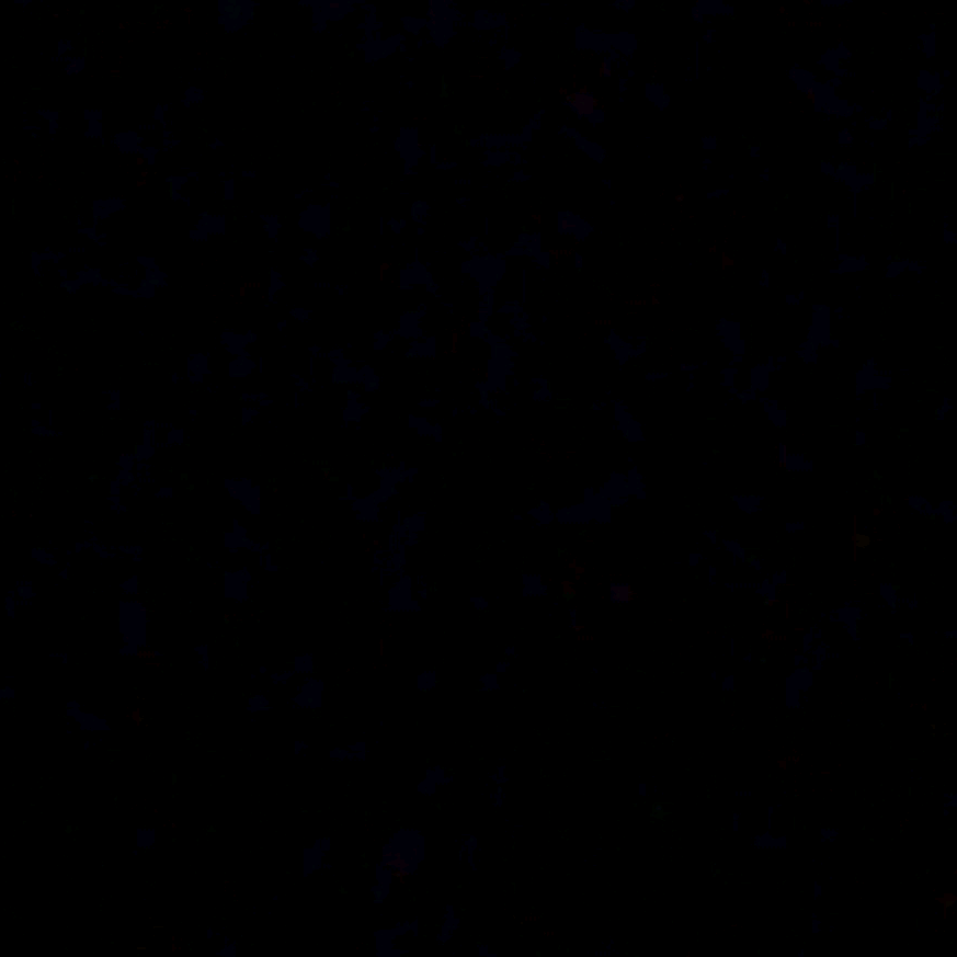w_nbn