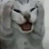 aalial_
