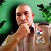 vidareal75
