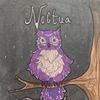 noctua_fam