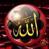 nurcanyilmaz455