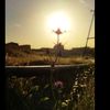 aliheydarov_
