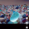 koneoumou223