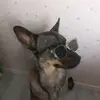 gffgfhvjnngffhkvdgvhksg
