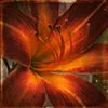 cyb3r_blur