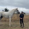 serenityequineranch