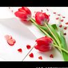 mariam.g584