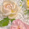 minminn_108