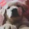 .casper.ru