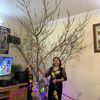 thanghoahaiphong
