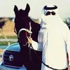 احمد الدليمي