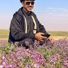 العجلان