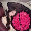 v.anh0044