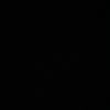 1234_dolphin