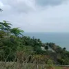 codadc20tuoi