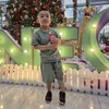 honglinhtran378