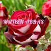 mateen_abbas167
