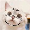 arieffhh