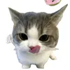 phumilo209