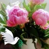 brigitteperrin0