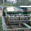 tuanah1m66