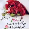nasef.alshamre