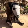teddy_25232