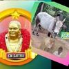 cmjagasaitha