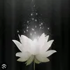 duyen1234.5