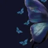salamohamed7