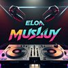 elonmuskuy