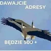 witekwendt