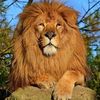 mahir0hamdan