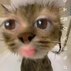 qmreww