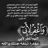 user8029757918637