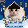 userv8adbef59l