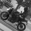 ninja_63_
