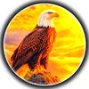 mr_lahorey0008official