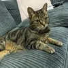 louiseallen51