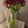 alsh050607