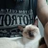 sak_thapaya19