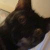 user1094212062