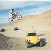 mx34mx34