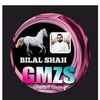bilalpeer688