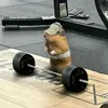icaro_marques07
