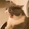 i_achieved_editing