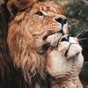 snechi_